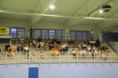 /album/galleria-foto-finale-1o-2o-posto1/img-6009-jpg/